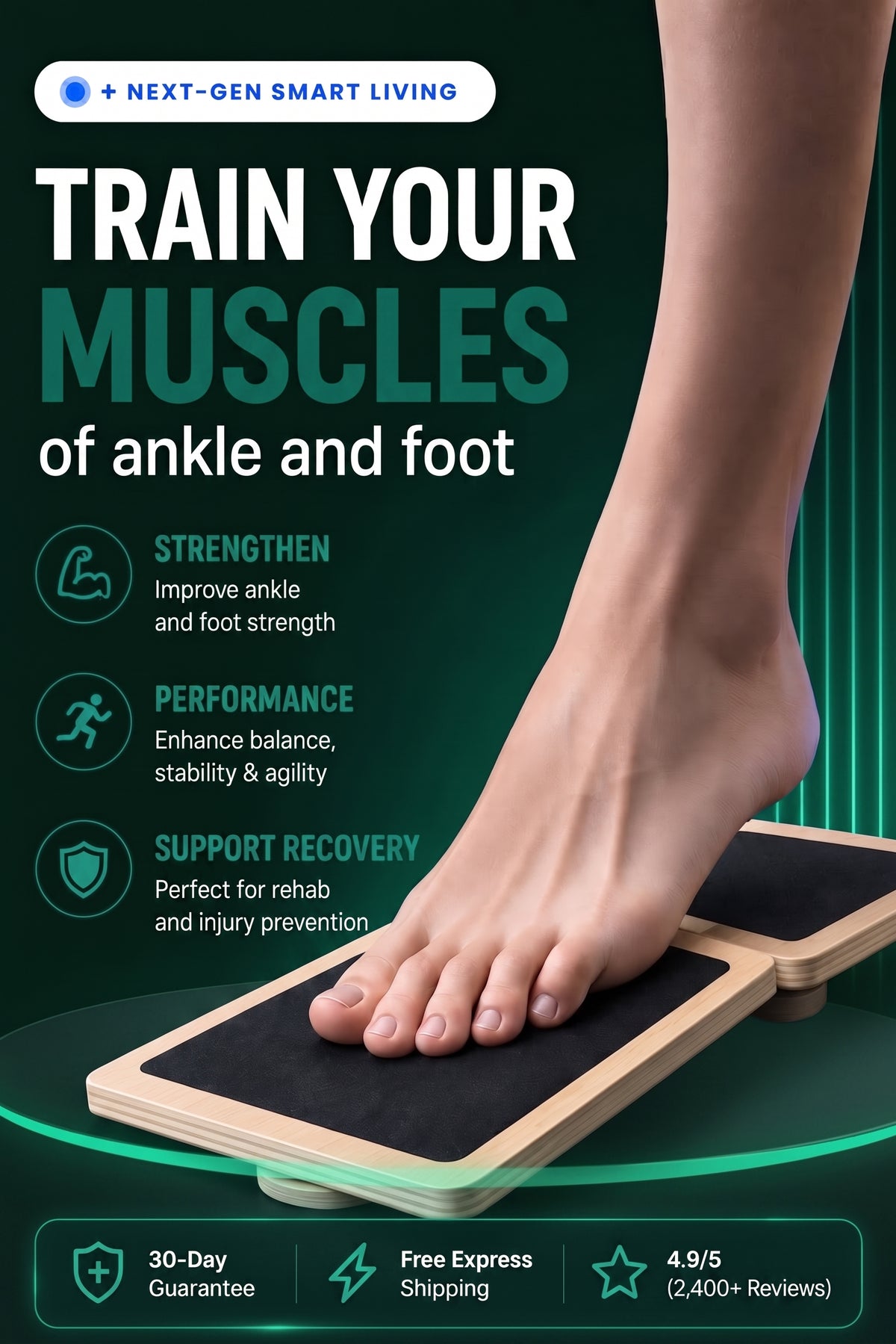 Vendacta Ankle Balance Board